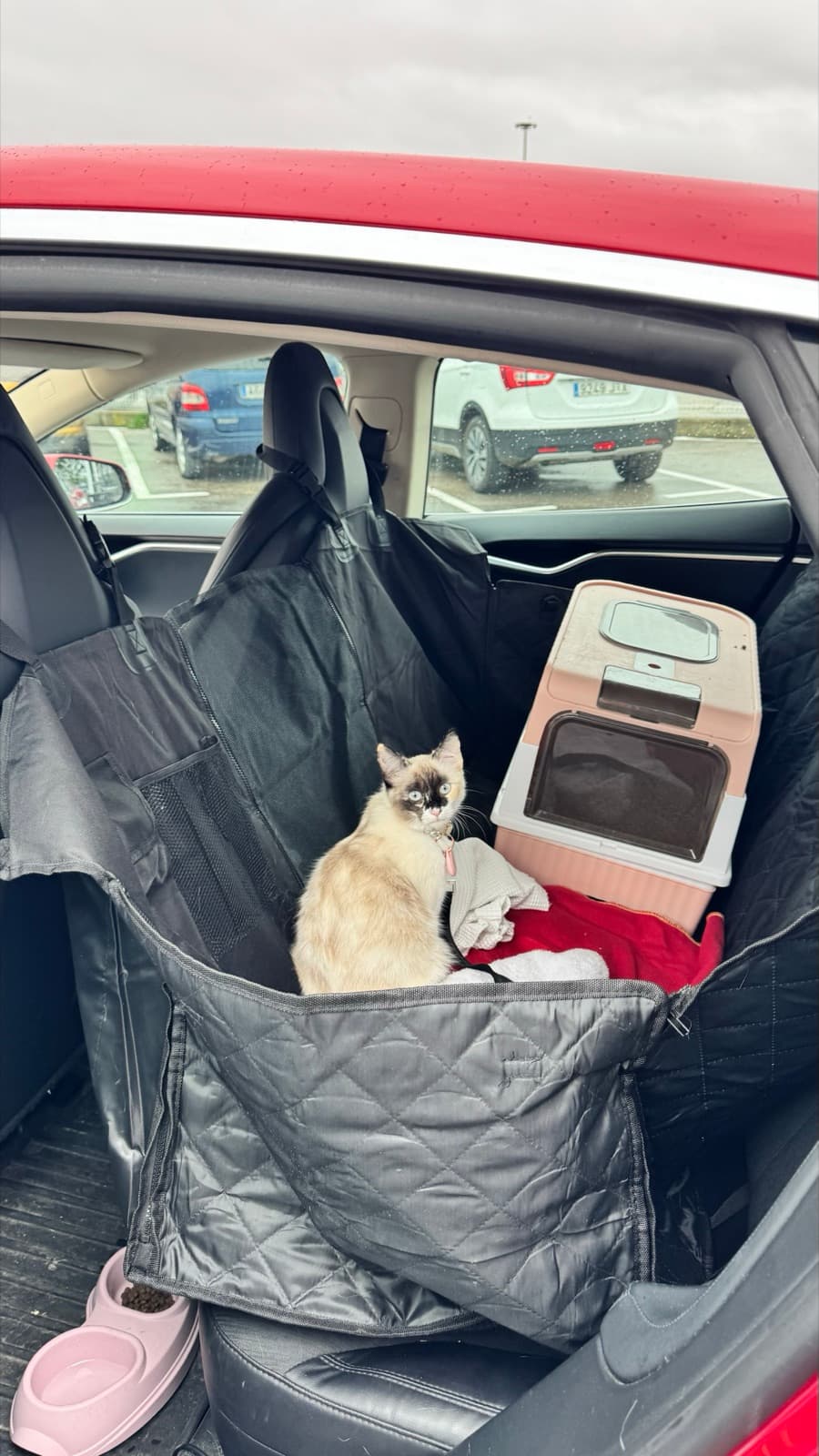 A cat travel spot with its own litter box, water, and a place to rest
