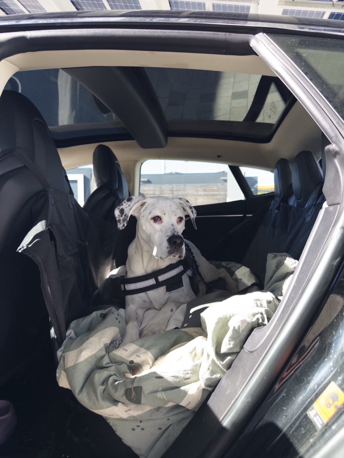 Perla — Porto → Zurich