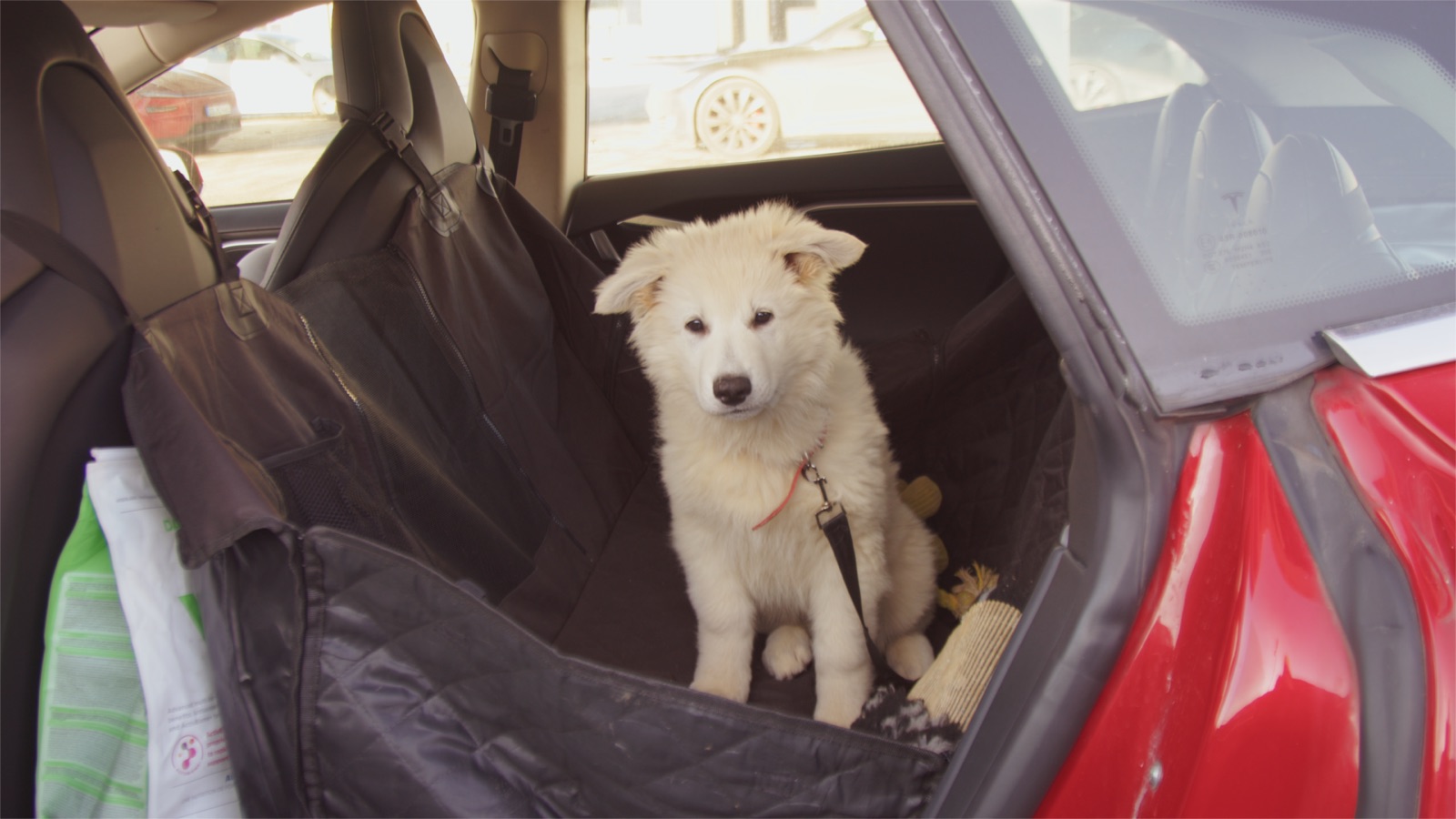 Nala — Warsaw → London